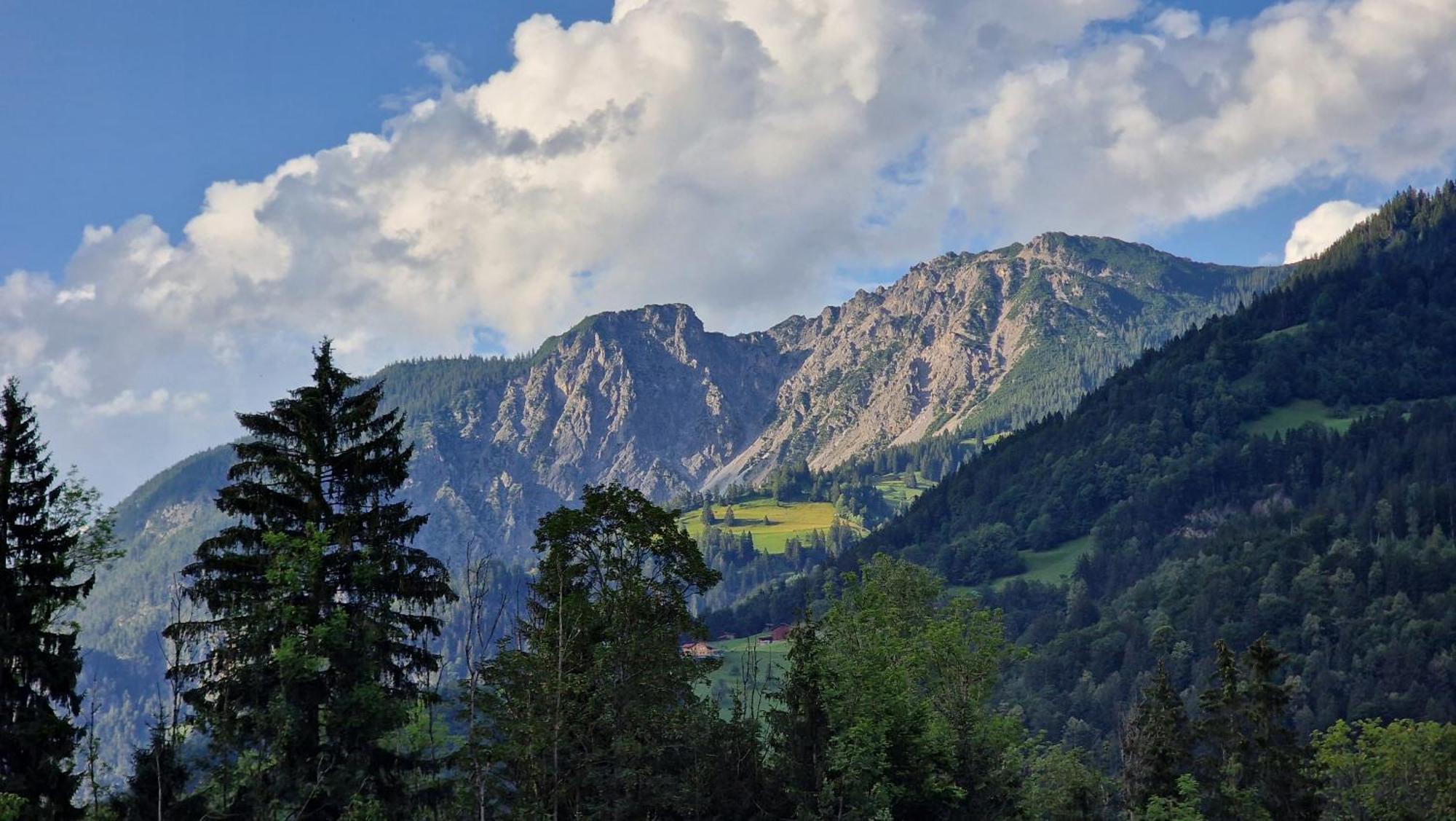 Homy Montavista - 300M Zur Golmerbahn Vandans Exterior photo